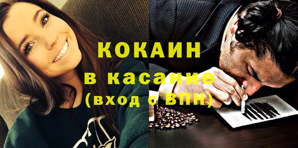 PSILOCYBIN Алзамай