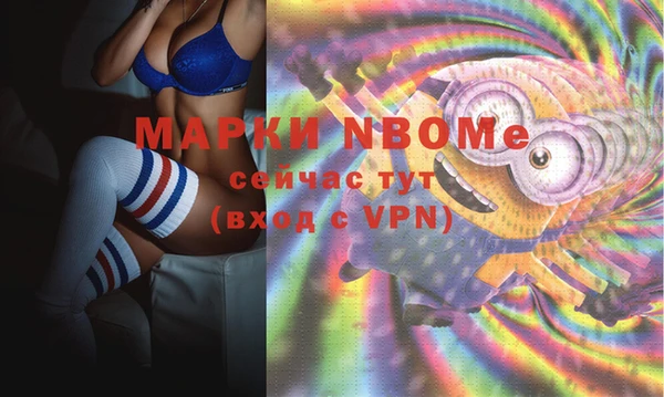 ПСИЛОЦИБИНОВЫЕ ГРИБЫ Алексин