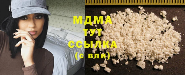 PSILOCYBIN Алзамай